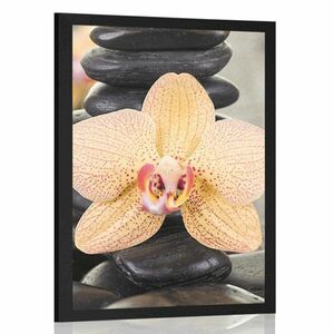 Plakat żółta orchidea i kamienie Zen obraz