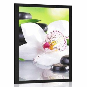 Plakat Japońska orchidea obraz
