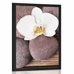 Plakat kamienie wellness i orchidea na drewnianym tle obraz