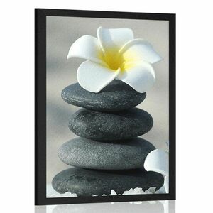 Plakat harmonijne kamienie i kwiat plumerii obraz
