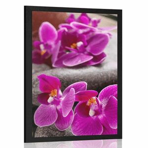 Plakat piękna orchidea i kamienie Zen obraz