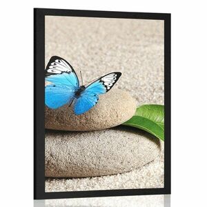 Plakat niebieski motyl na kamieniu Zen obraz