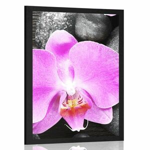 Plakat piękna orchidea i kamienie obraz