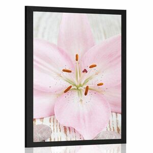 Plakat różowa lilia i kamienie Zen obraz