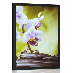 Plakat kamienie zen i orchidea obraz