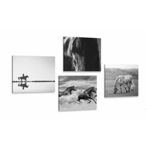 Zestaw obrazów dla miłośników koni w wersji czarno-białej obraz
