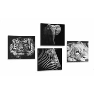 Zestaw obrazów dzikie zwierzęta w wersji czarno-białej obraz