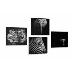 Zestaw obrazów zwierzęta w wersji czarno-białej obraz