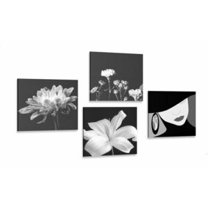 Zestaw obrazów elegancja kobiet i kwiatów w wersji czarno-białej obraz