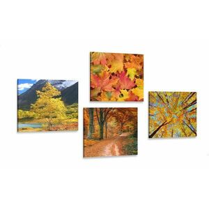 Zestaw obrazów przyroda jesienią w cudownych kolorach obraz