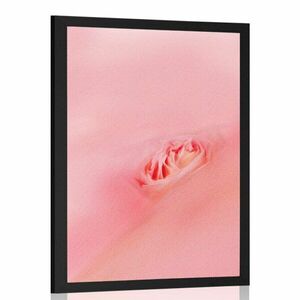 Plakat w różowym uścisku obraz