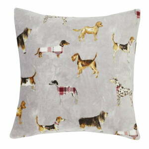 Poduszka dekoracyjna 55x55 cm Country Dogs – Catherine Lansfield obraz