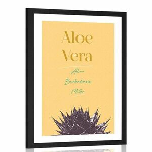 Plakat passepartout ze stylowym napisem Aloe Vera obraz