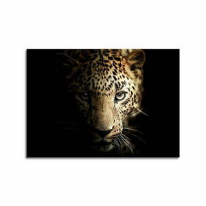 Szklany obraz 100x70 cm Leopard – Styler obraz