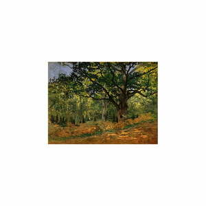 Reprodukcja obrazu Claude'a Moneta – The Bodmer Oak, Fontainebleau Forest, 70x50 cm obraz