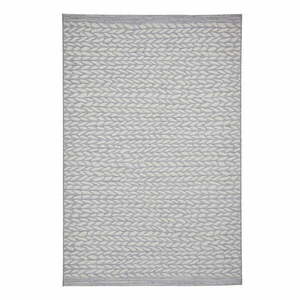 Szaro-beżowy dywan odpowiedni na zewnątrz 170x120 cm Coast – Think Rugs obraz