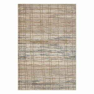 Beżowy dywan 340x240 cm Terrain – Hanse Home obraz