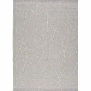 Szary dywan zewnętrzny Universal Hibis Line, 160x230 cm obraz
