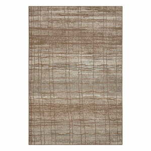 Brązowo-beżowy dywan 340x240 cm Terrain – Hanse Home obraz