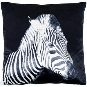 Poduszka Zebra, 45 x 45 cm obraz
