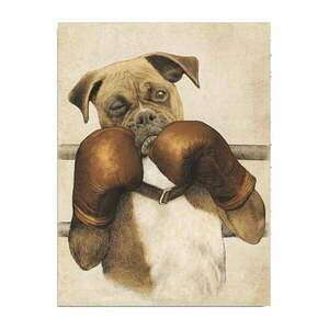 Obraz na płótnie Boxer, 30x40 cm obraz