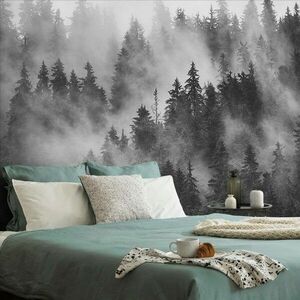 Samoprzylepna fototapeta las w czarno-białej mgle obraz