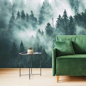 Fototapeta las w mgle obraz