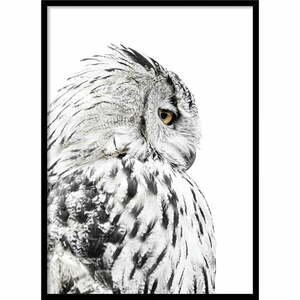 Plakat w ramie 50x70 cm Owl – Styler obraz