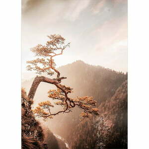 Szklany obraz 50x70 cm Brown Tree – Styler obraz