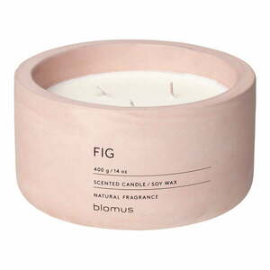 Zapachowa sojowa świeca czas palenia 25 h Fraga: Fig – Blomus obraz