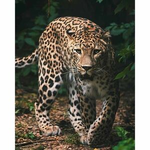 Koc dziecięcy Leopard green, 120 x 150 cm obraz