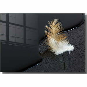 Szklany obraz 100x70 cm Feather – Wallity obraz