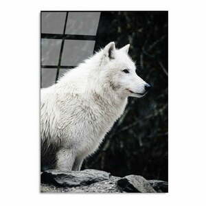 Szklany obraz 70x100 cm White Wolf – Wallity obraz
