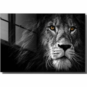 Szklany obraz 70x50 cm Lion – Wallity obraz
