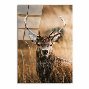 Szklany obraz 70x100 cm Deer – Wallity obraz