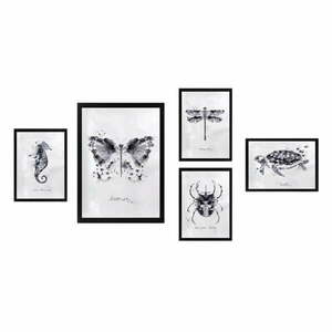 Obrazy zestaw 5 szt. Butterfly – Wallity obraz