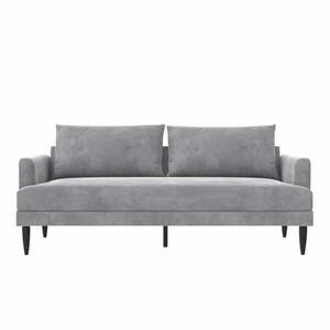 Jasnoszara sofa 199 cm Bailey – Novogratz obraz