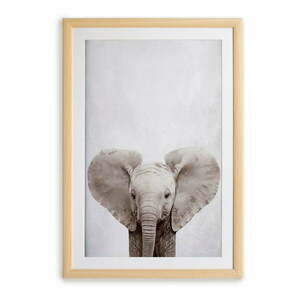 Obraz w ramie Surdic Elephant, 30x40 cm obraz