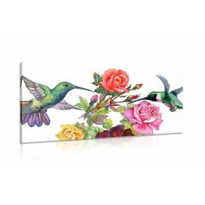 Obraz kolibry z kwiatami obraz