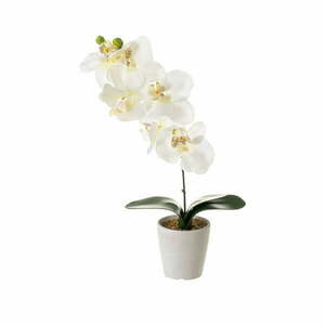 Sztuczna roślina (wysokość 45 cm) Orchid – Casa Selección obraz