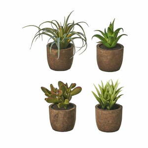 Sztuczne rośliny zestaw 4 szt. (wysokość 10 cm) Cactus – Casa Selección obraz