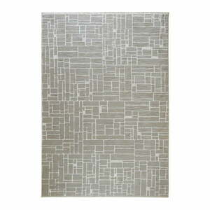 Szaro-beżowy dywan 200x290 cm Jaipur – Webtappeti obraz
