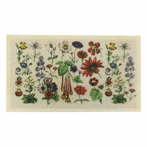 Wycieraczka 40x70 cm Botanicals – Artsy Doormats obraz