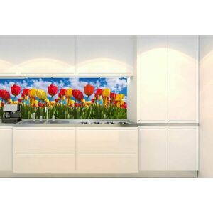 Samoprzylepna fototapeta do kuchni pole pełne tulipanów obraz