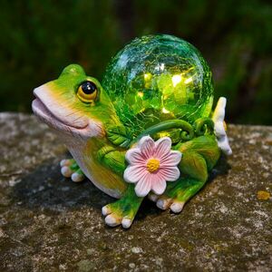 Solarna żaba obraz