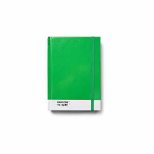Notes Green 16-6340 – Pantone obraz