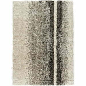 Beżowy dywan 120x170 cm Noruega – Universal obraz