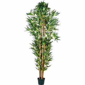 Sztuczna roślina - bambus - 190 cm obraz