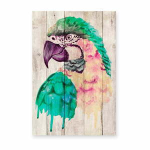 Dekoracja ścienna z drewna sosnowego Madre Selva Watercolor Parrot, 60x40 cm obraz