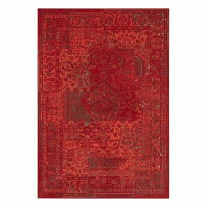 Czerwony dywan Hanse Home Celebration Plume, 200x290 cm obraz